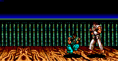 Street Fighter II (BRZ)