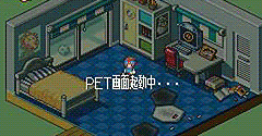 Rockman EXE 5 DS: Twin Leaders