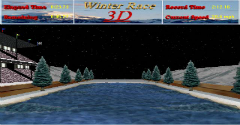 Winter Race 3D