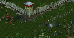 Empire Earth