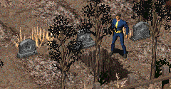 Fallout 2