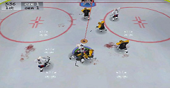 Hockey Rage 2005