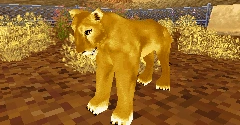 Zoo Tycoon 2 DS