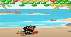 Crusoe Squeaky Ball Bubble POP