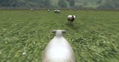 CrazyCattle3D